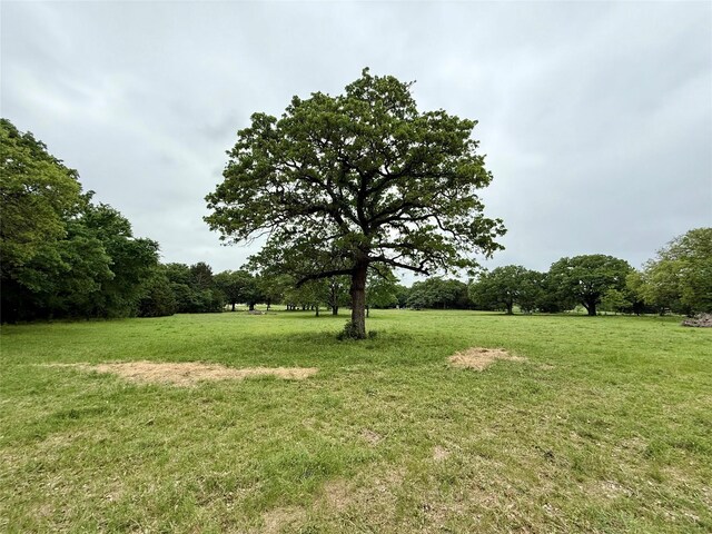 TBD County Road 203, Collinsville, TX 76233