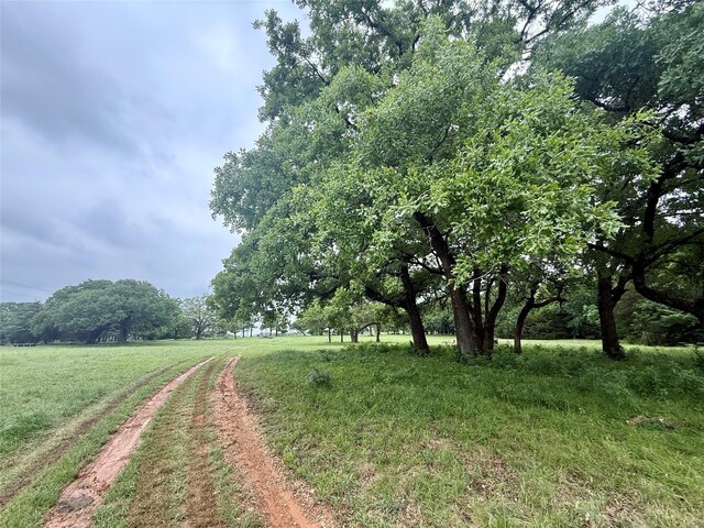 TBD County Road 203, Collinsville, TX 76233