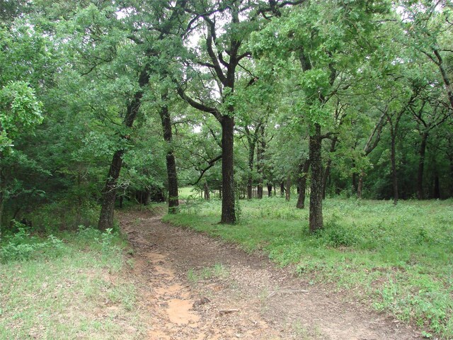 TBD County Road 203, Collinsville, TX 76233
