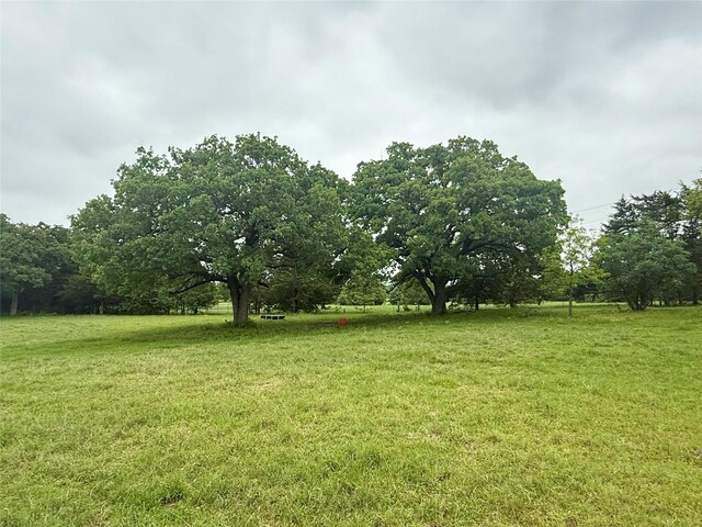 TBD County Road 203, Collinsville, TX 76233