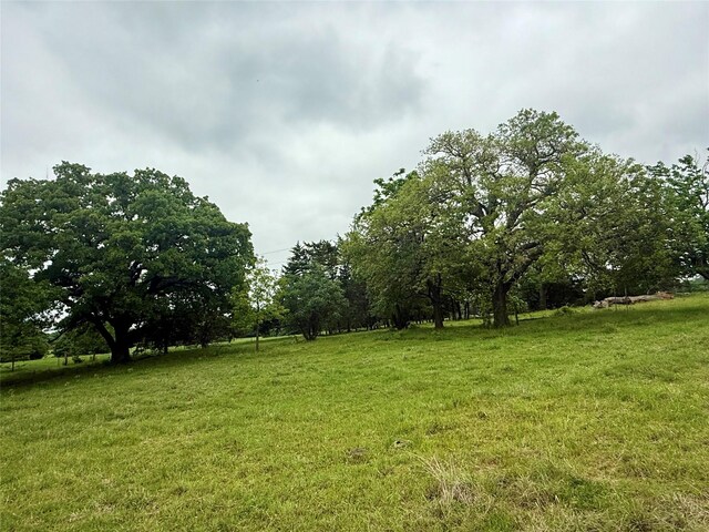 TBD County Road 203, Collinsville, TX 76233