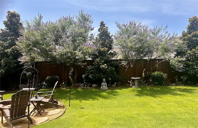 11308 Hubbard Creek Dr, Frisco, TX 75036 - view of yard