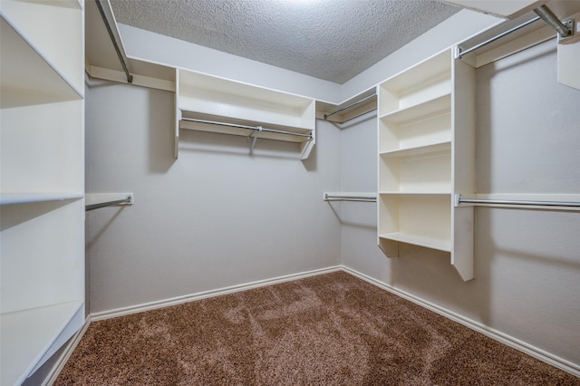 2909 Chisholm Trl, Corinth, TX 76210 - walk in closet with carpet floors