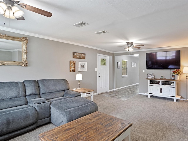 living area with ceiling fan, ornamental molding, carpet flooring, and visible vents