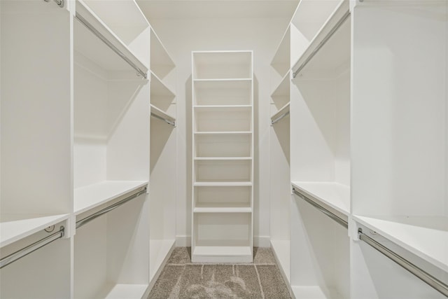 spacious closet featuring light colored carpet