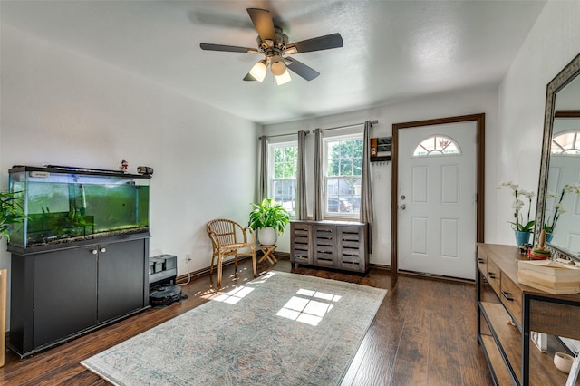 entrance foyer featuring baseboards, a ceiling fan, and wood finished floors