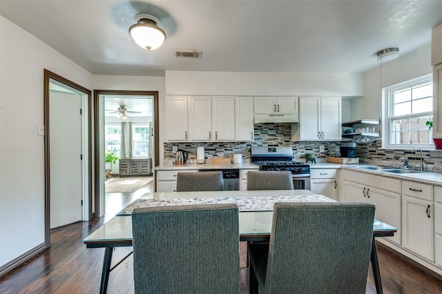 kitchen featuring white cabinets, appliances with stainless steel finishes, a sink, backsplash, and under cabinet range hood