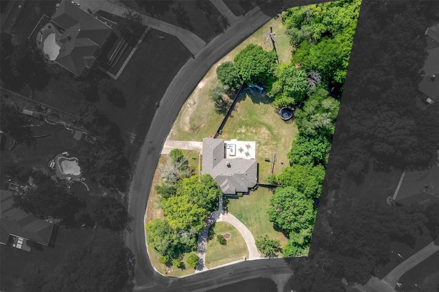 bird's eye view