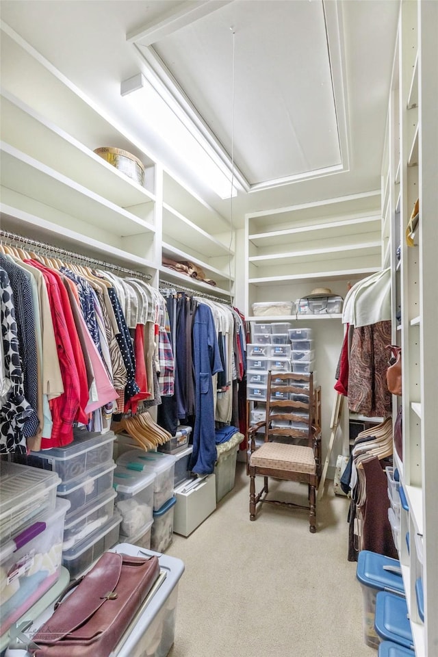 990 County Road 621, Tuscola, TX 79562 - walk in closet with carpet flooring