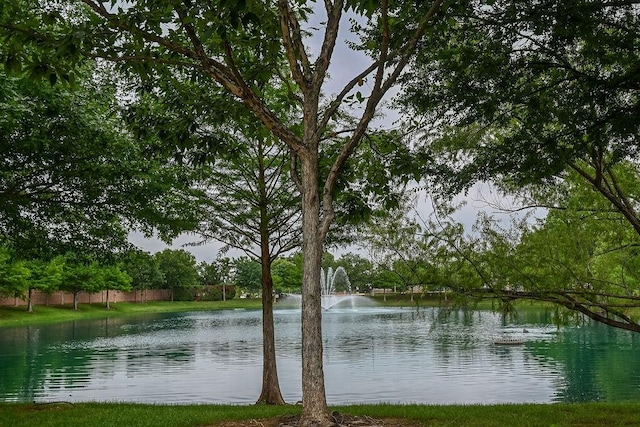 view of water feature