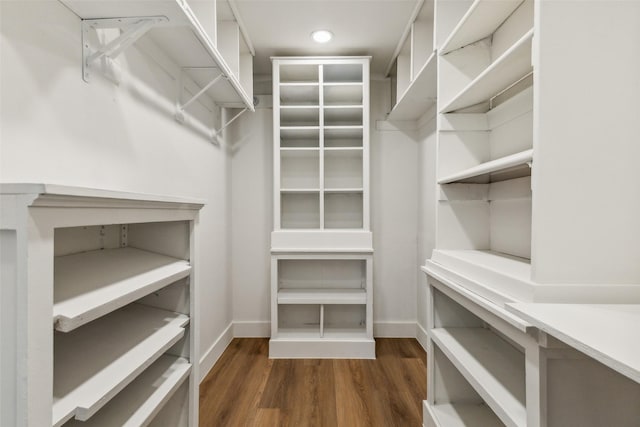 spacious closet featuring dark wood finished floors