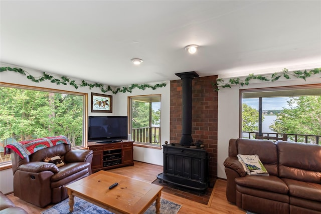 living room featuring a wood stove and light wood-type flooring
