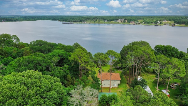 aerial view featuring a water view and a forest view