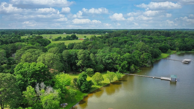 drone / aerial view featuring a water view and a wooded view