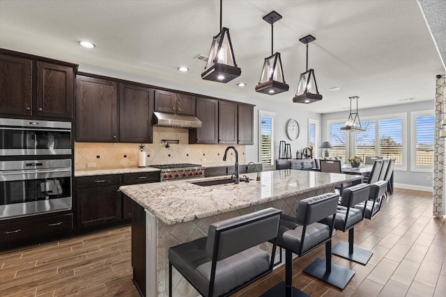 12225 Grosbeak Dr, Denton, TX 76207 - kitchen featuring plenty of natural light, a sink, under cabinet range hood, and stainless steel appliances
