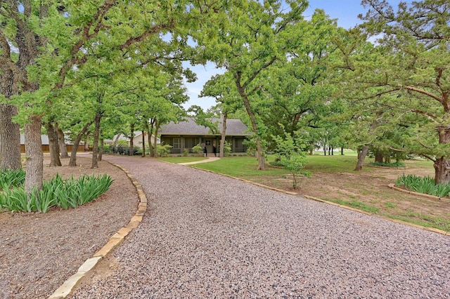 surrounding community featuring a yard