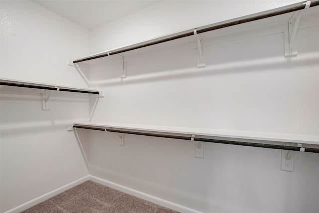 5608 Crestview Dr, Celina, TX 75009 - spacious closet featuring carpet floors