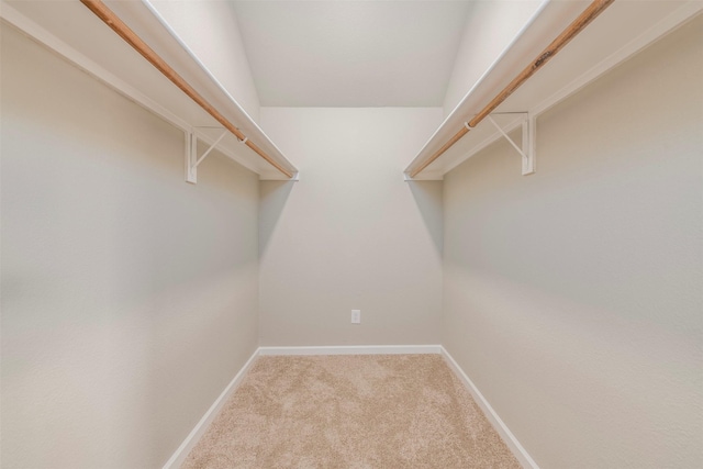walk in closet featuring carpet