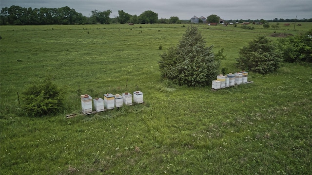 drone / aerial view featuring a rural view