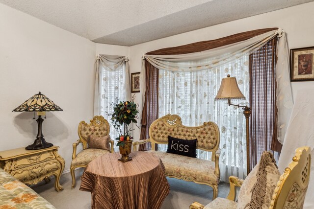 sitting room featuring carpet floors, a textured ceiling, and lofted ceiling