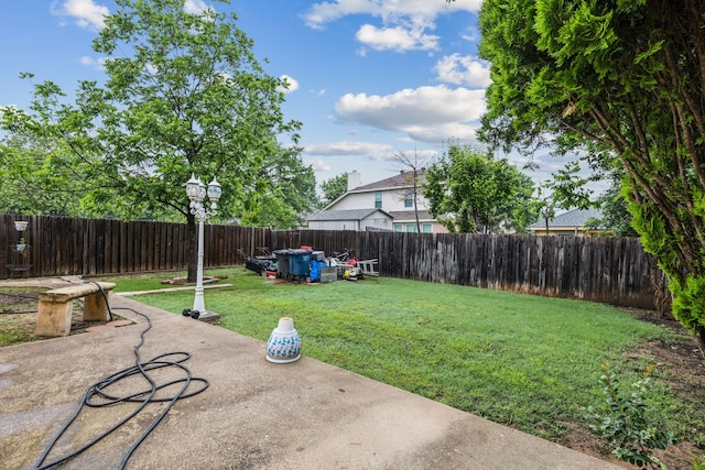view of yard with a patio and a fenced backyard