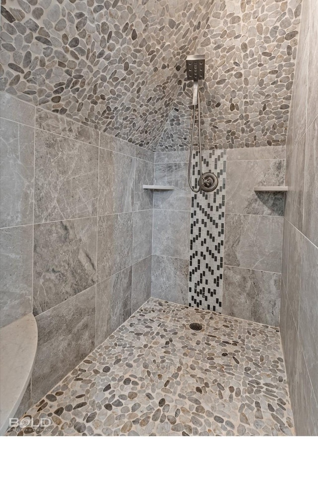10535 Longfellow Trce, Shreveport, LA 71106 - full bath featuring tiled shower