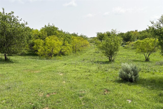 TBD County Road 105 N, Vernon, TX 76384