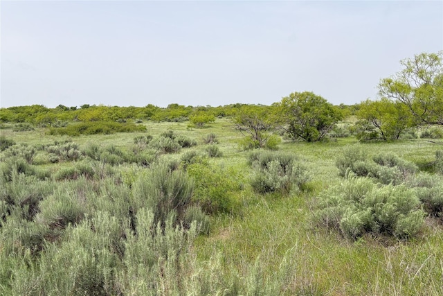 TBD County Road 105 N, Vernon, TX 76384
