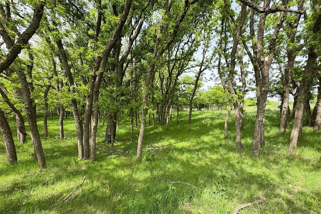 TBD County Road 105 N, Vernon, TX 76384