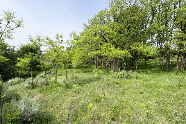 TBD County Road 105 N, Vernon, TX 76384