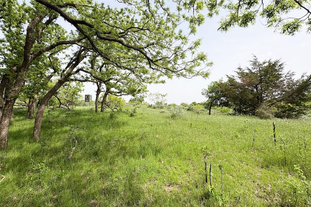 TBD County Road 105 N, Vernon, TX 76384