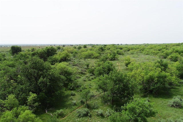 TBD County Road 105 N, Vernon, TX 76384