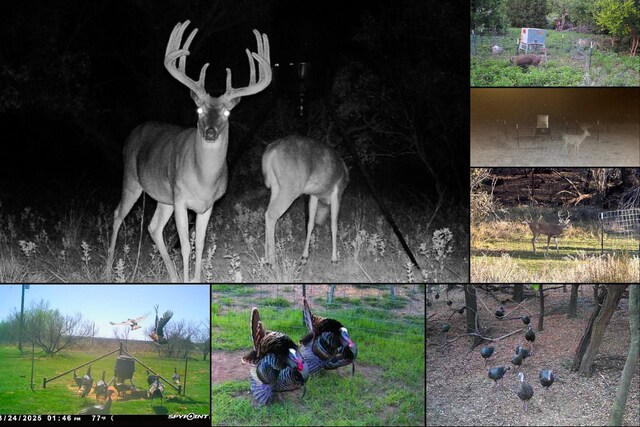 TBD County Road 105 N, Vernon, TX 76384