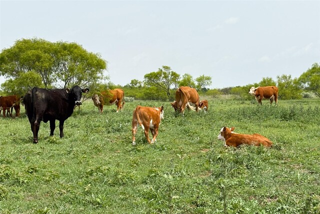 TBD County Road 105 N, Vernon, TX 76384