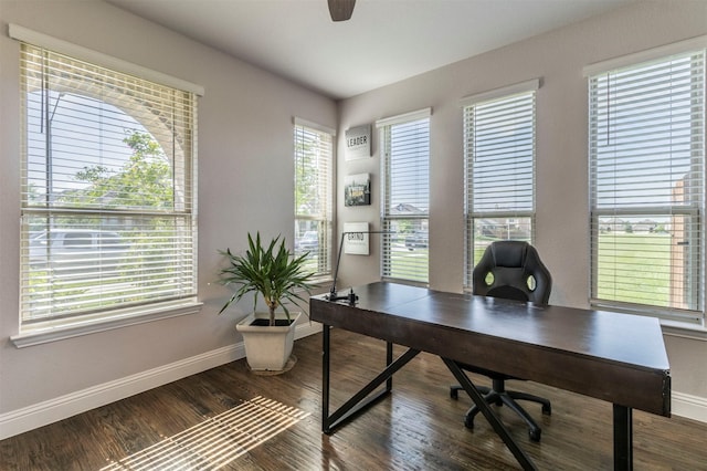 office area with baseboards, dark wood finished floors, and ceiling fan