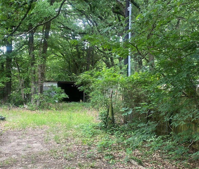view of nature featuring a wooded view