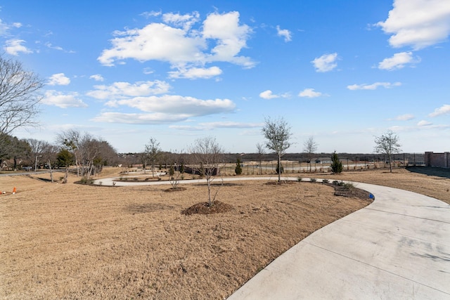 view of yard with fence and curved driveway