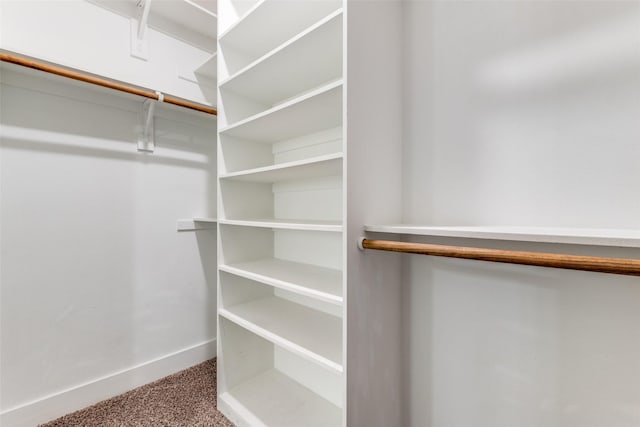 spacious closet with carpet