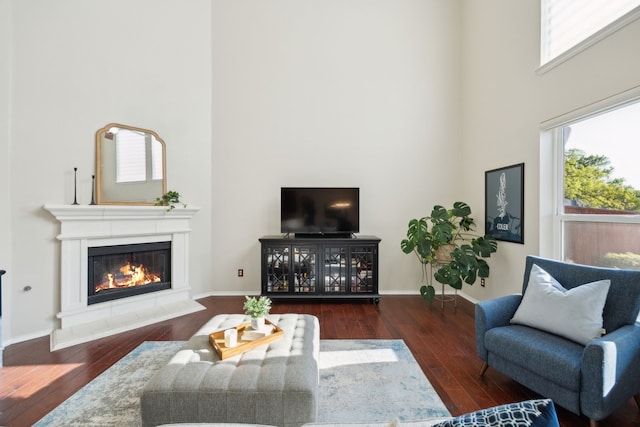 living room featuring hardwood / wood-style flooring, a towering ceiling, and plenty of natural light