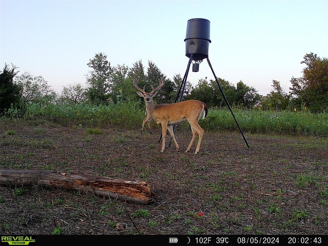 001 Fm 85, Ennis, TX 75119