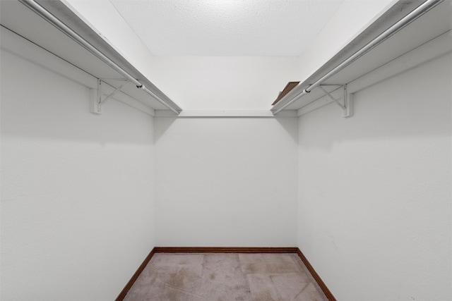 spacious closet featuring carpet flooring
