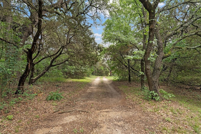 view of road with a wooded view