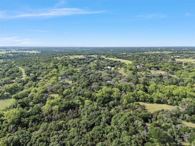 bird's eye view with a view of trees