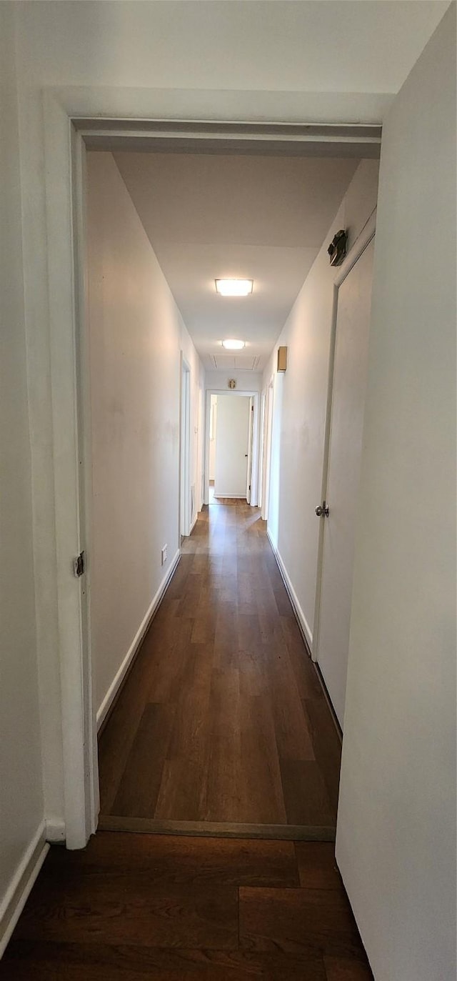 hall with baseboards and hardwood / wood-style floors
