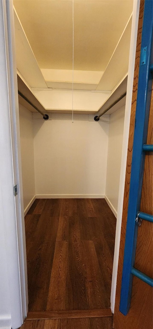walk in closet featuring wood finished floors