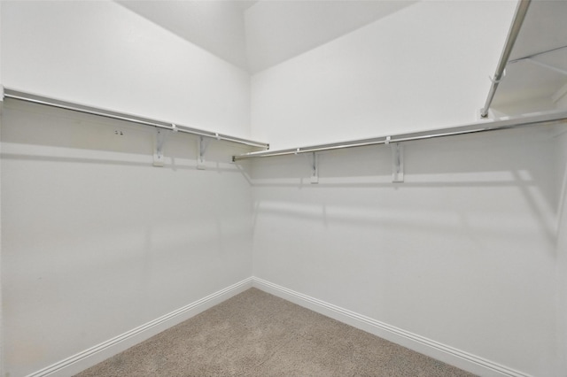 walk in closet with carpet floors