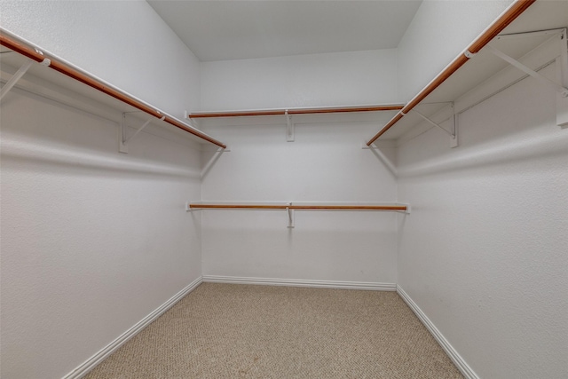 spacious closet featuring carpet floors