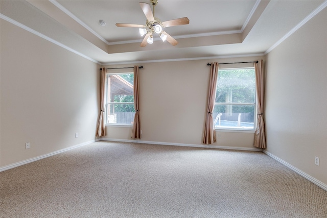 unfurnished room with carpet, a tray ceiling, and a wealth of natural light