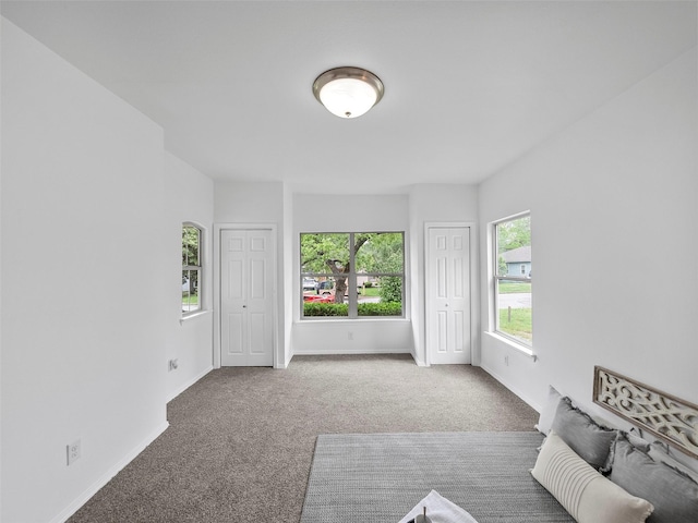 living room featuring carpet floors and plenty of natural light