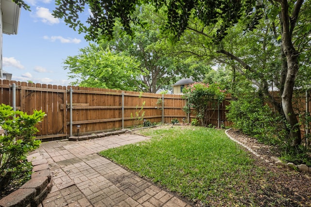 view of yard with a fenced backyard